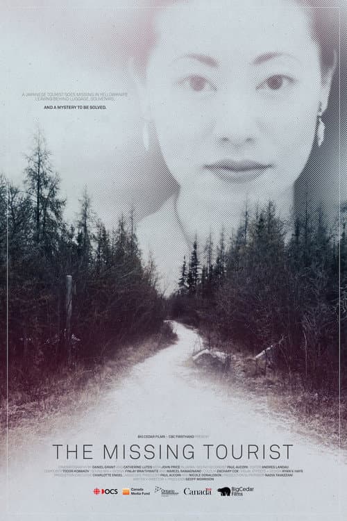 The Missing Tourist (2018) poster
