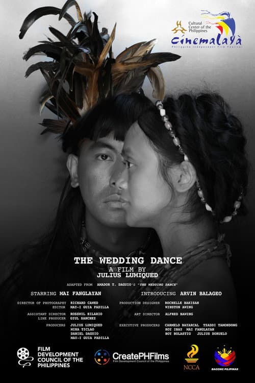 The Wedding Dance (2024) poster