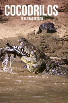 Cocodrilos, el último dragón (2010) poster