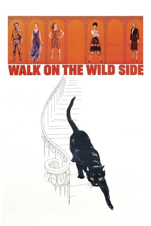 Walk on the Wild Side (1962) poster