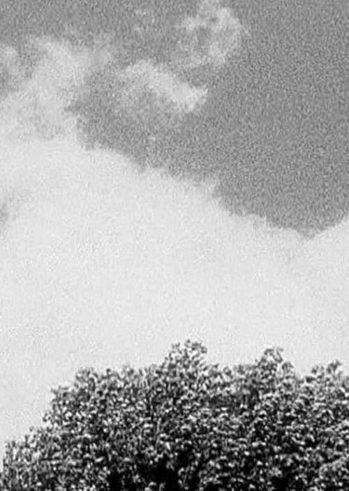 Tree & Cloud (1998) poster
