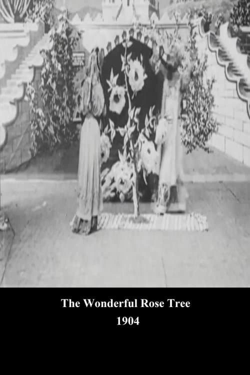 Le Rosier miraculeux (1904) poster