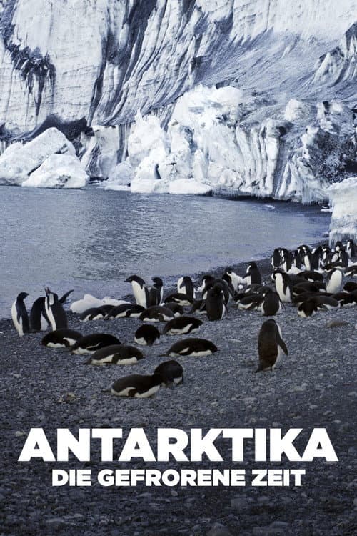 Antarktika - Die gefrorene Zeit (2021) poster