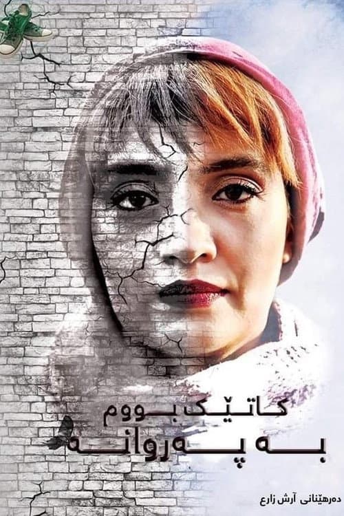 Vaghti parvaneh shodam (2018) poster