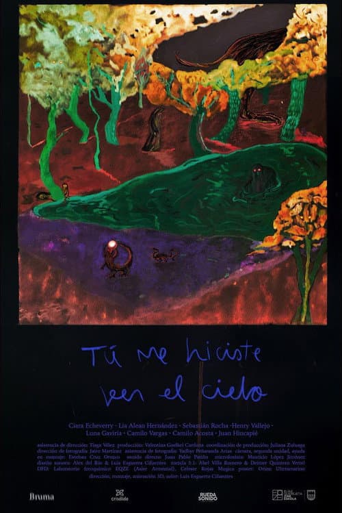 Tu me hiciste ver el cielo (2023) poster
