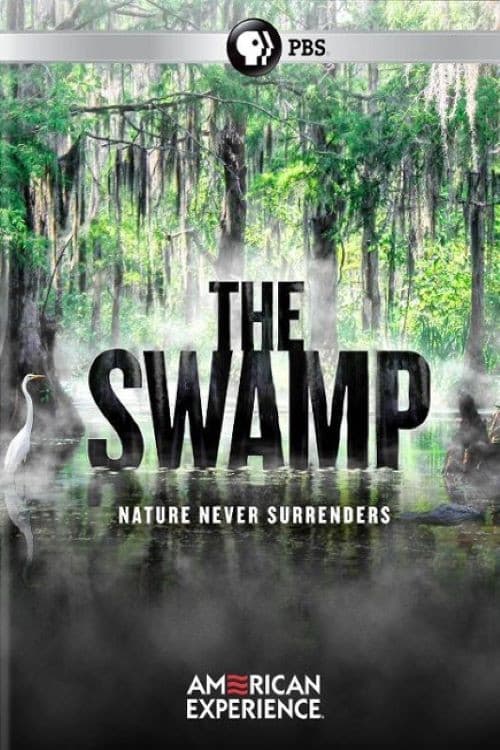 The Swamp (2019) poster