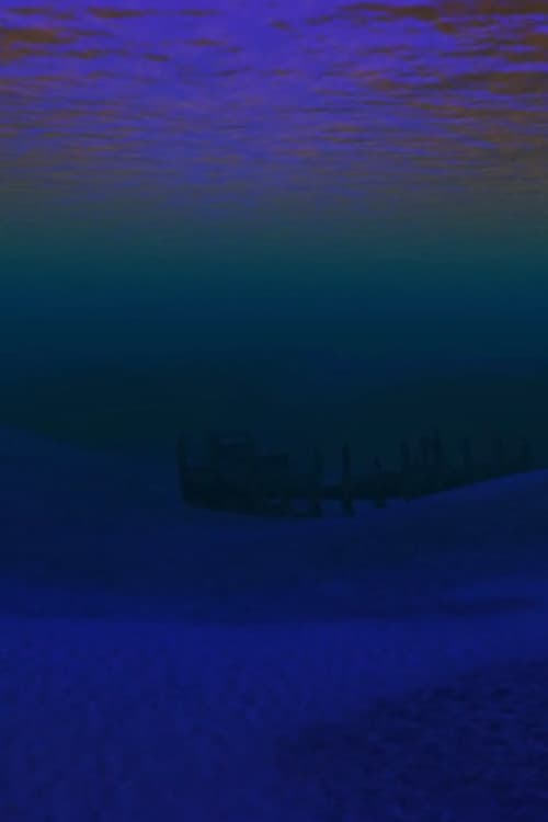Neptune’s Empire: Second Life ambience (2011) poster