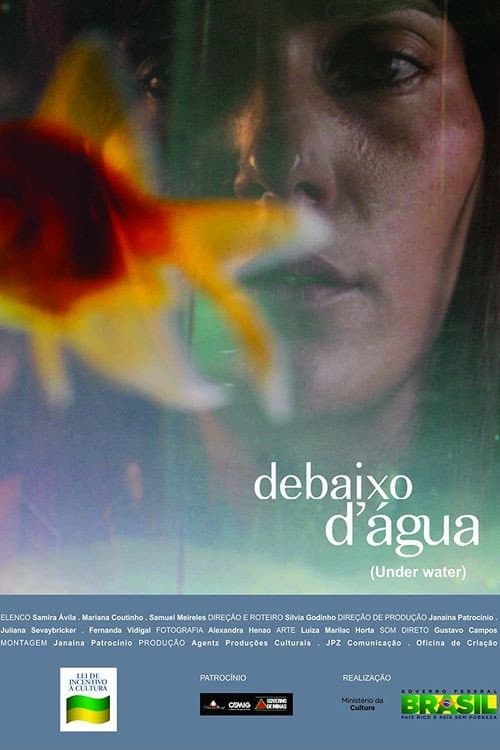 Debaixo d'água (2011) poster