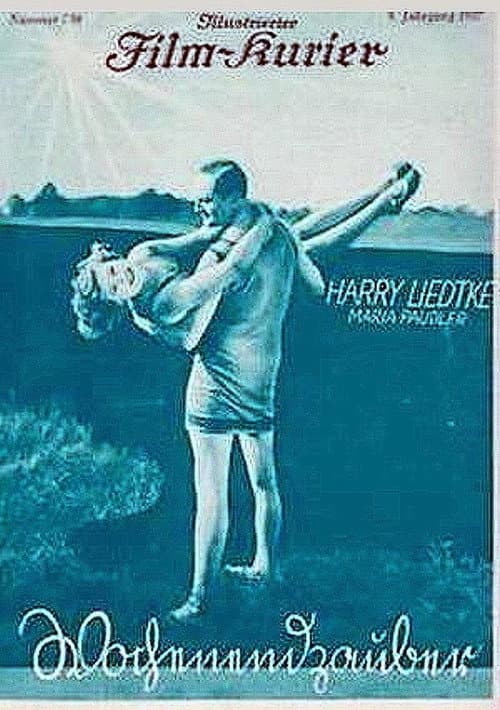 Wochenendzauber (1927) poster