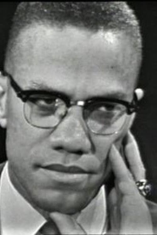 The Negro and the American Promise (1963) poster