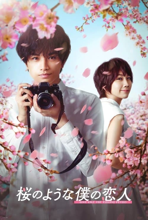 桜のような僕の恋人 (2022) poster