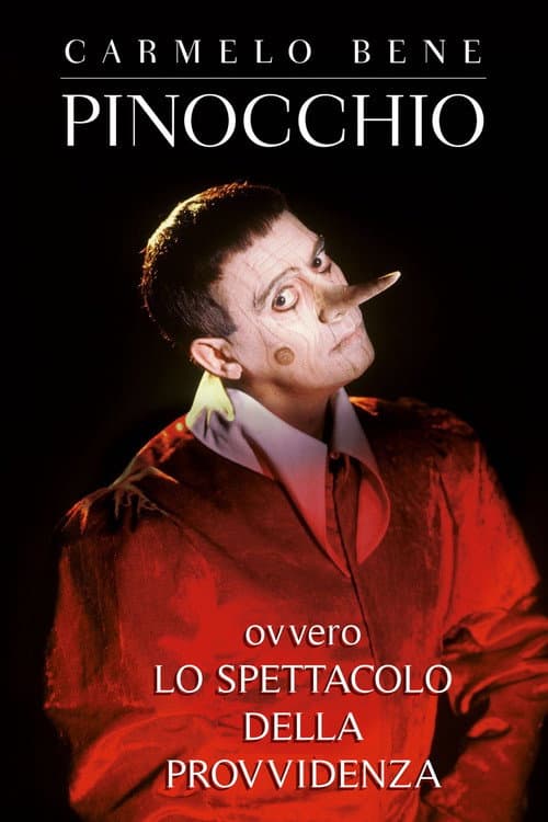 Pinocchio, ovvero lo spettacolo della Provvidenza (1999) poster