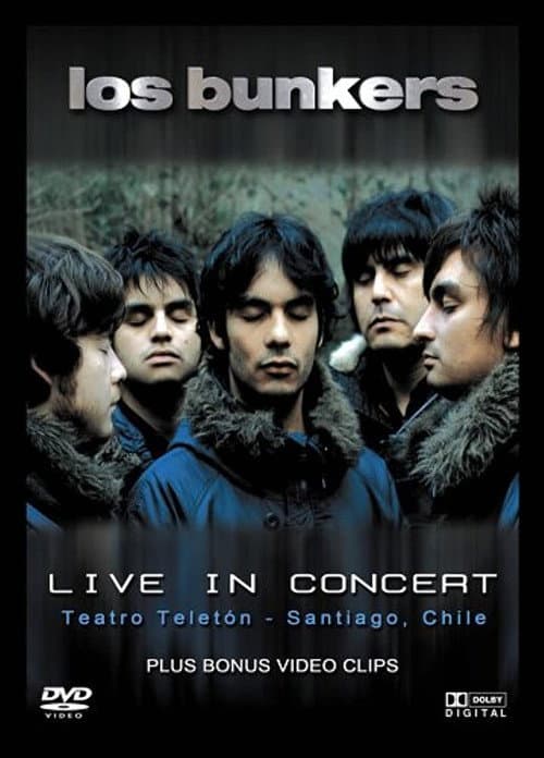 Los Bunkers: En vivo (2006) poster