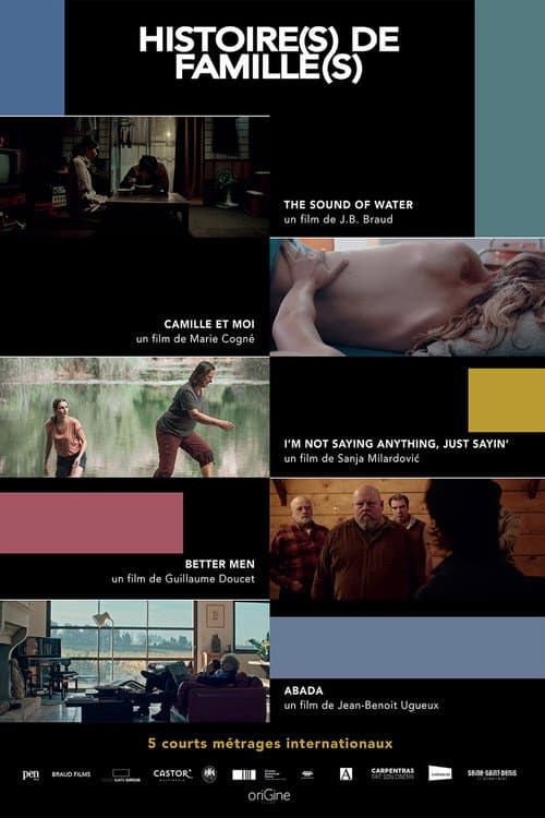 Histoire(s) de Famille(s) (2022) poster