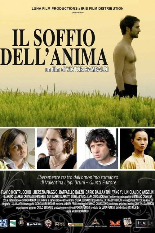Il soffio dell'anima (2009) poster
