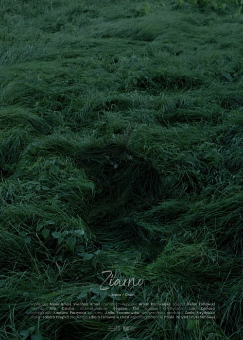 Ziarno (2023) poster