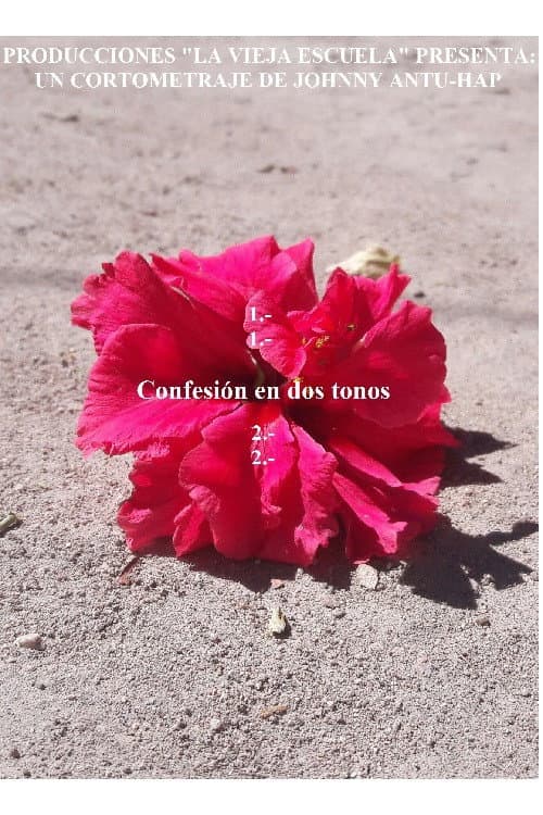 Confesión en dos tonos (2020) poster
