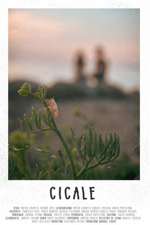 CICALE (2023) poster