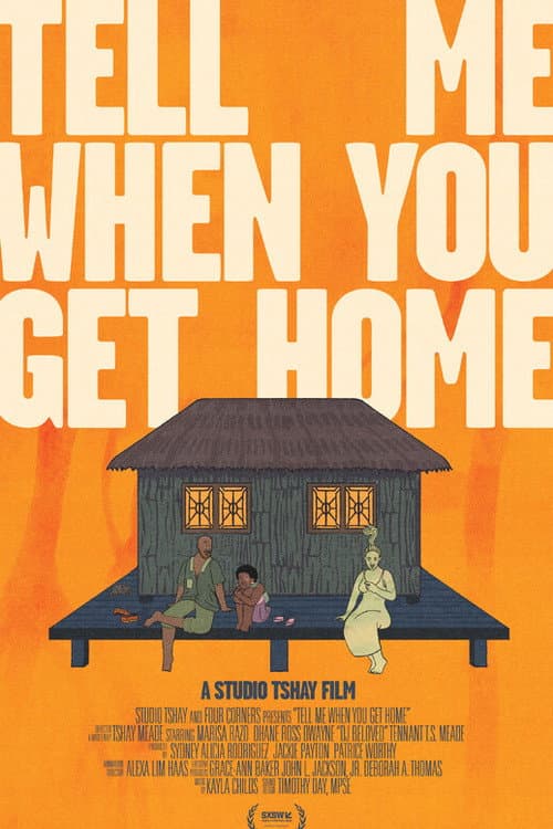 Tell Me When You Get Home (2026) poster