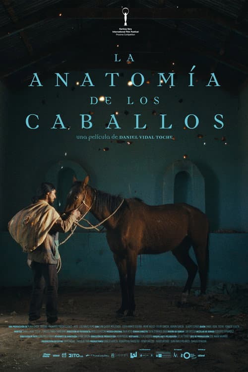 La anatomía de los caballos (2026) poster