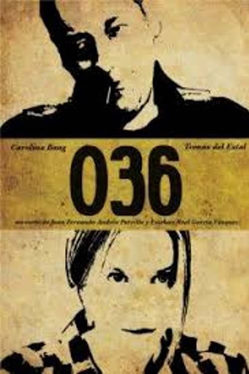 036 (2011) poster