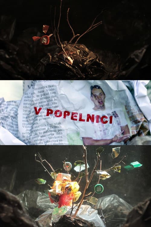 V popelnici (2018) poster
