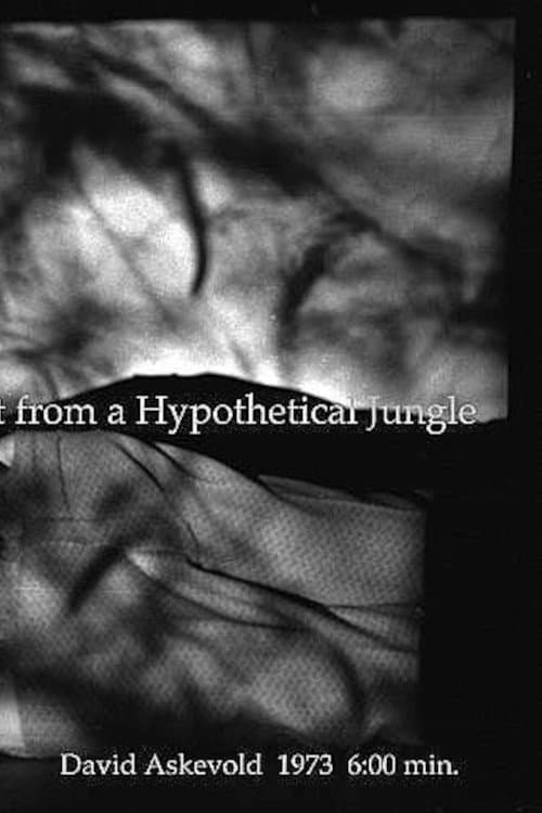 My Recall of an Imprint from a Hypothetical Jungle (1973) poster