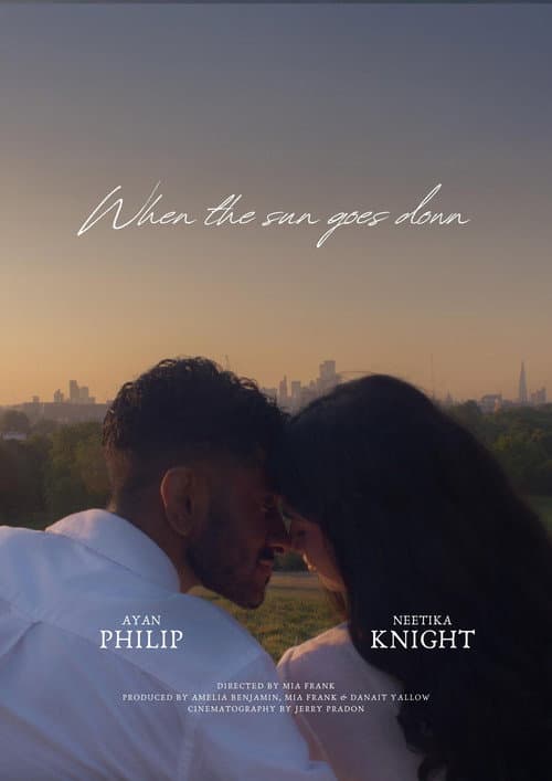 When The Sun Goes Down (2025) poster