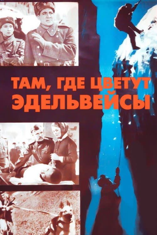 Там, где цветут эдельвейсы (1965) poster