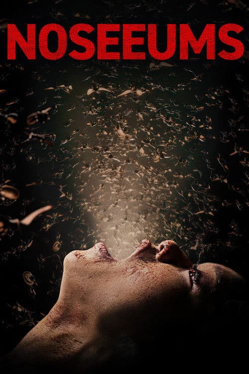 Noseeums (2025) poster
