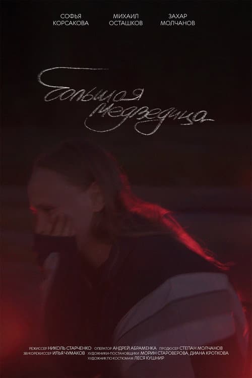 Большая медведица (2025) poster