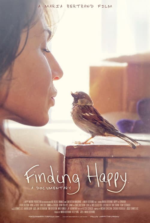Finding Happy (2026) poster
