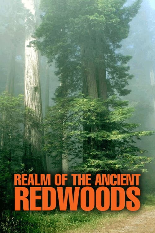Realm of the Ancient Redwoods (2014) poster