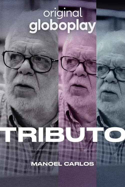 Tributo: Manoel Carlos (2024) poster