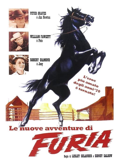 Fury (1955) poster