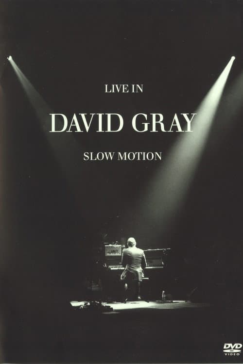 David Gray: LIVE in Slow Motion (2006) poster
