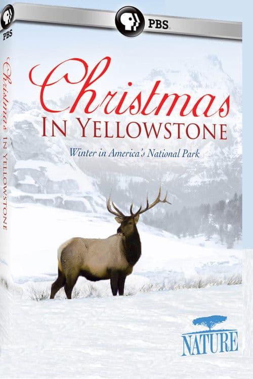 Christmas in Yellowstone (2006) poster