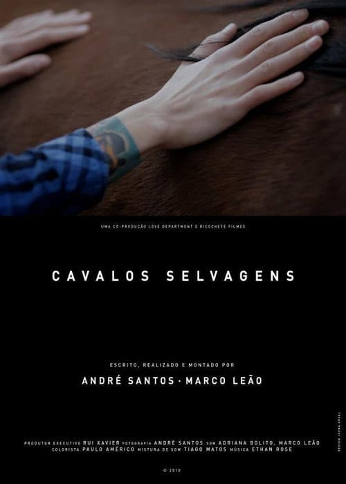 Cavalos Selvagens (2010) poster