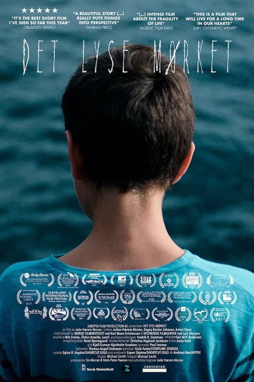 Det lyse mørket (2016) poster