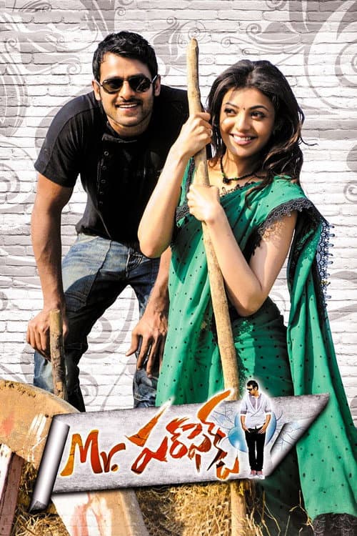 Mr. పర్‌ఫెక్ట్ (2011) poster
