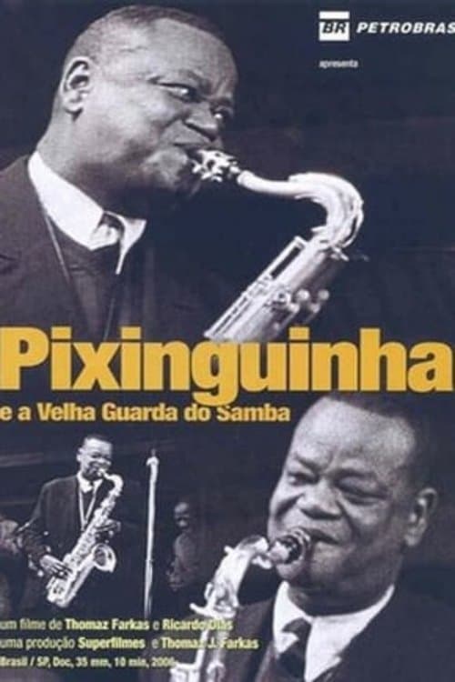 Pixinguinha e a Velha Guarda do Samba (2006) poster