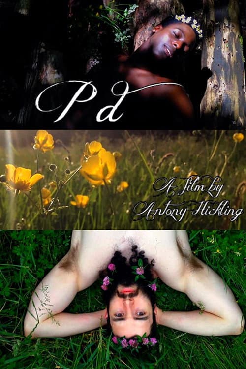 P.D (2014) poster