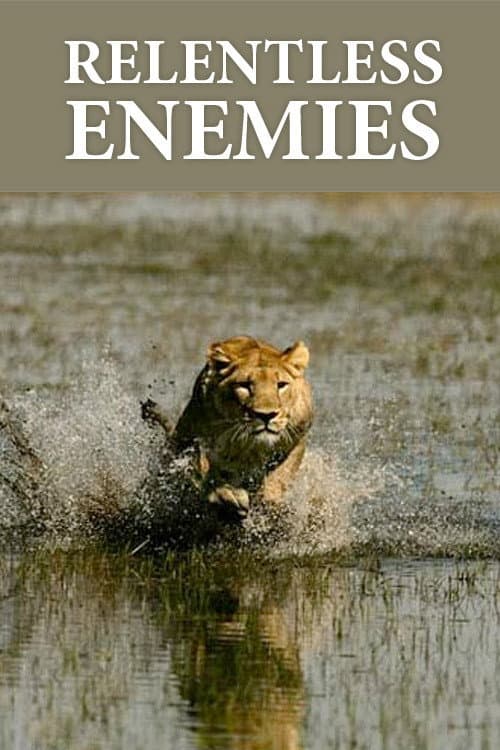 Relentless Enemies: Revealed (2022) poster
