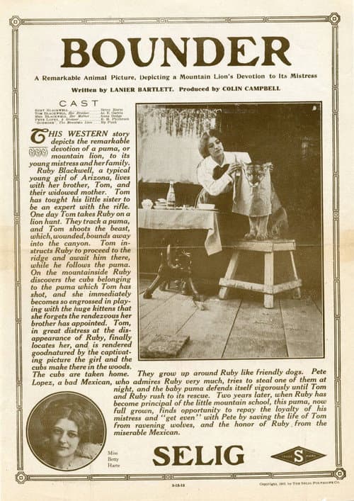 Bounder (1912) poster