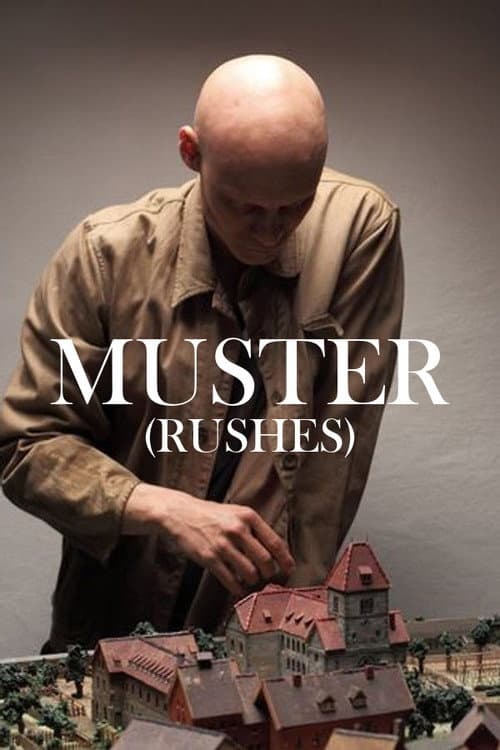 Muster (2012) poster