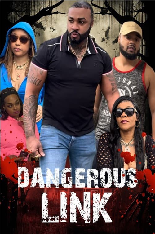 Dangerous Link (2024) poster