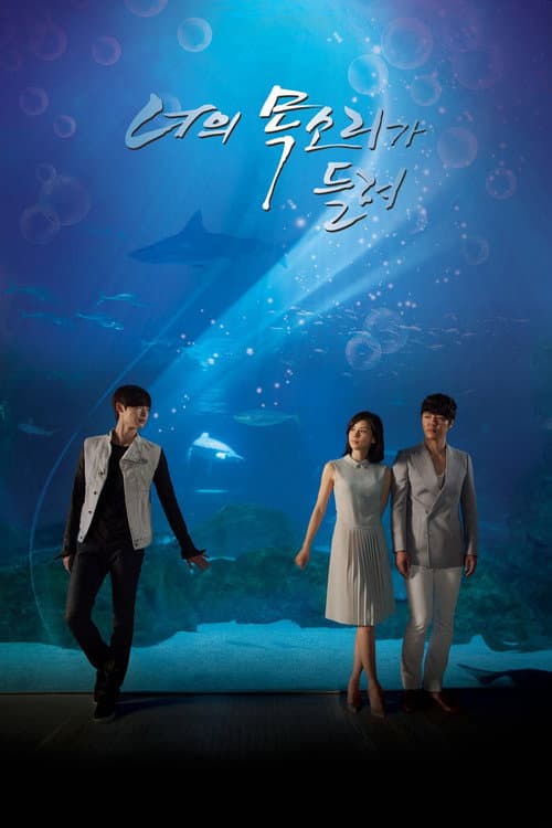 너의 목소리가 들려 (2013) poster