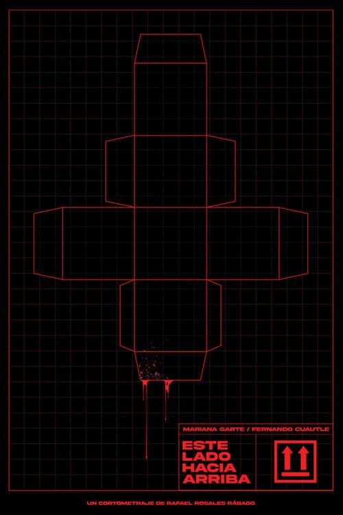 Este lado hacia arriba (2024) poster