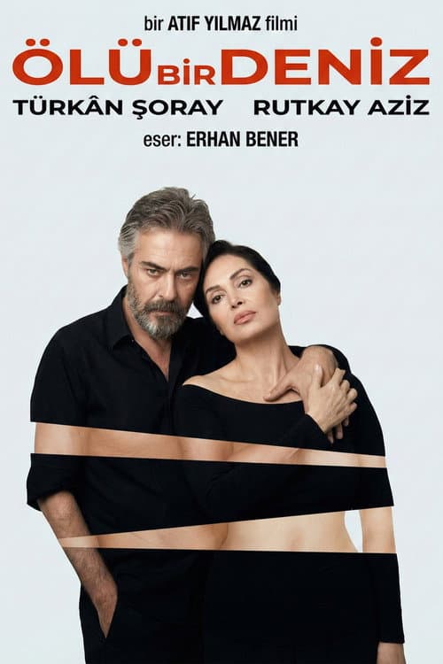 Ölü Bir Deniz (1989) poster