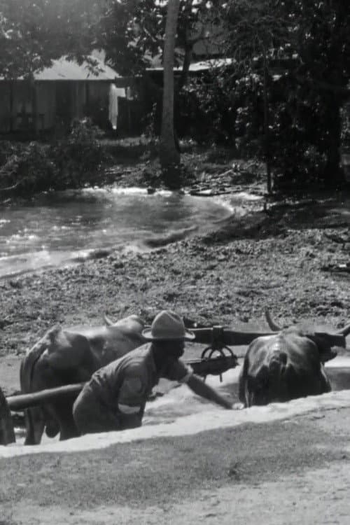 Guadeloupe, le pays des Belles-Eaux (1928) poster